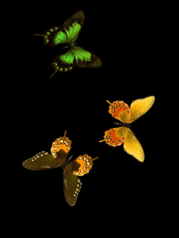 �ĂӂĂ�